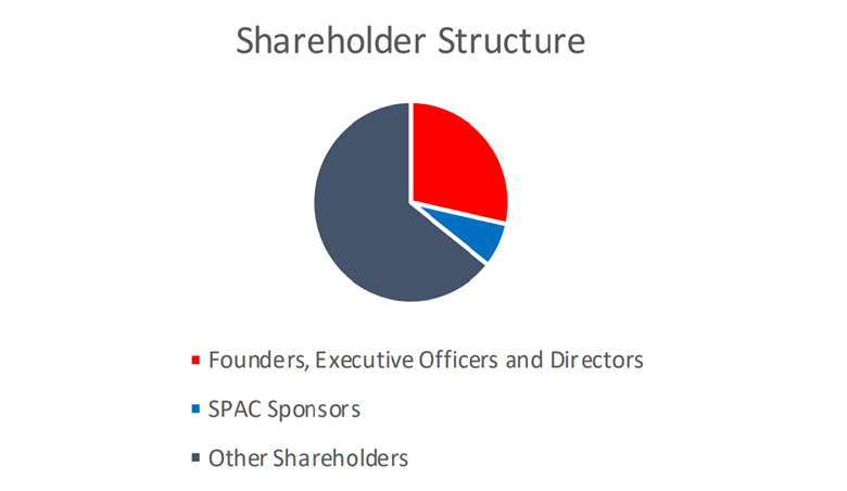 Shareholder Structure chart